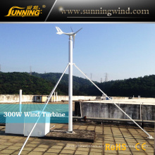 Turbina de viento micro inteligente 300W